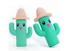 Cactus USB Flash Drive