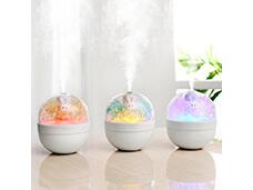 Portable Eternal Flower Mini Humidifier