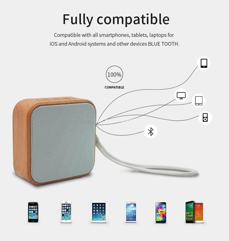 Wireless-Speaker-Handfree-Mini-Portable-Bluetooth-Speaker-for-iPhone.webp (1).jpg